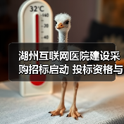 湖州互联网医院建设采购招标启动 投标资格与流程全解析