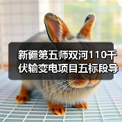 新疆第五师双河110千伏输变电项目五标段导地线光缆招标公告来袭(图2) 新疆第五师双河110千伏输变电项目五标段导地线光缆招标公告来袭(图2)