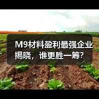 M9材料盈利最强企业揭晓，谁更胜一筹？（图4）