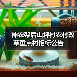 神农架后山坪村农村改革重点村招标公告