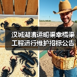 汉城湖漕运明渠幸福渠工程运行维护招标公告：预算1731万（图4）