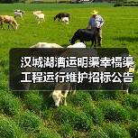 汉城湖漕运明渠幸福渠工程运行维护招标公告：预算1731万