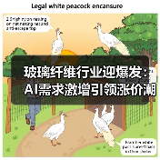 玻璃纤维行业迎爆发：AI需求激增引领涨价潮（图4）