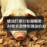 玻璃纤维行业迎爆发：AI需求激增引领涨价潮（图1）