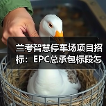 兰考智慧停车场项目招标：EPC总承包标段怎么投标？（图2）
