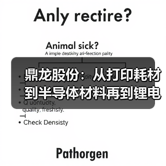 鼎龙股份：从打印耗材到半导体材料再到锂电辅材的野心布局（图4）
