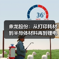 鼎龙股份：从打印耗材到半导体材料再到锂电辅材的野心布局（图3）