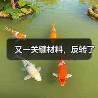 又一关键材料，反转了（图1）