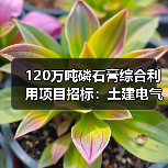 120万吨磷石膏综合利用项目招标:土建电气设备采购全解析(图3) 120万吨磷石膏综合利用项目招标:土建电气设备采购全解析(图3)
