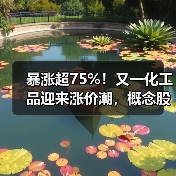 暴涨超75%！又一化工品迎来涨价潮，概念股来了（名单）（图3）