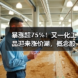 暴涨超75%！又一化工品迎来涨价潮，概念股来了（名单）（图4）
