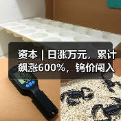 资本 | 日涨万元,累计飙涨600%,钨价闯入历史“无人区”(图2) 资本 | 日涨万元,累计飙涨600%,钨价闯入历史“无人区”(图2)