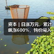 资本 | 日涨万元,累计飙涨600%,钨价闯入历史“无人区” 资本 | 日涨万元,累计飙涨600%,钨价闯入历史“无人区”