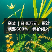 资本 | 日涨万元,累计飙涨600%,钨价闯入历史“无人区”(图3) 资本 | 日涨万元,累计飙涨600%,钨价闯入历史“无人区”(图3)