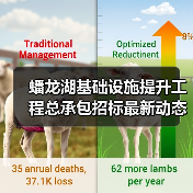蟠龙湖基础设施提升工程总承包招标最新动态解析（图3）