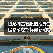 蟠龙湖基础设施提升工程总承包招标最新动态解析（图4）