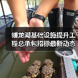 蟠龙湖基础设施提升工程总承包招标最新动态解析（图2）