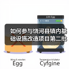 如何参与饶河县镇内基础设施改造项目第二批竞争性磋商?(图3) 如何参与饶河县镇内基础设施改造项目第二批竞争性磋商?(图3)