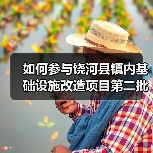 如何参与饶河县镇内基础设施改造项目第二批竞争性磋商？