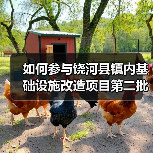 如何参与饶河县镇内基础设施改造项目第二批竞争性磋商?(图2) 如何参与饶河县镇内基础设施改造项目第二批竞争性磋商?(图2)