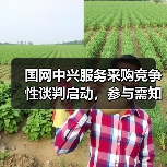 国网中兴服务采购竞争性谈判启动,参与需知全解析(图2) 国网中兴服务采购竞争性谈判启动,参与需知全解析(图2)