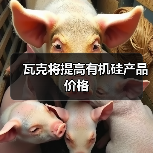 瓦克将提高有机硅产品价格(图3) 瓦克将提高有机硅产品价格(图3)