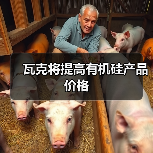 瓦克将提高有机硅产品价格(图1) 瓦克将提高有机硅产品价格(图1)