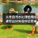 长丰县污水处理管网改造专业分包招标信息来了!(图2) 长丰县污水处理管网改造专业分包招标信息来了!(图2)
