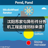 沈阳苏家屯异形件分拣机工程监理招标来袭!详解服务内容与资质要求(图2) 沈阳苏家屯异形件分拣机工程监理招标来袭!详解服务内容与资质要求(图2)