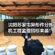 沈阳苏家屯异形件分拣机工程监理招标来袭!详解服务内容与资质要求(图4) 沈阳苏家屯异形件分拣机工程监理招标来袭!详解服务内容与资质要求(图4)