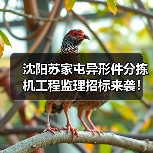 沈阳苏家屯异形件分拣机工程监理招标来袭!详解服务内容与资质要求(图3) 沈阳苏家屯异形件分拣机工程监理招标来袭!详解服务内容与资质要求(图3)