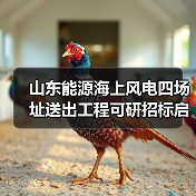 山东能源海上风电四场址送出工程可研招标启动(图3) 山东能源海上风电四场址送出工程可研招标启动(图3)