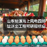 山东能源海上风电四场址送出工程可研招标启动(图1) 山东能源海上风电四场址送出工程可研招标启动(图1)