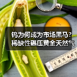 钨为何成为市场黑马?稀缺性碾压黄金天然气(图4) 钨为何成为市场黑马?稀缺性碾压黄金天然气(图4)