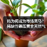 钨为何成为市场黑马?稀缺性碾压黄金天然气(图2) 钨为何成为市场黑马?稀缺性碾压黄金天然气(图2)
