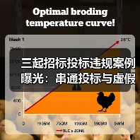 三起招标投标违规案例曝光:串通投标与虚假材料如何影响公平竞争?(图4) 三起招标投标违规案例曝光:串通投标与虚假材料如何影响公平竞争?(图4)