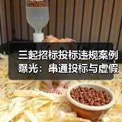 三起招标投标违规案例曝光:串通投标与虚假材料如何影响公平竞争?(图1) 三起招标投标违规案例曝光:串通投标与虚假材料如何影响公平竞争?(图1)