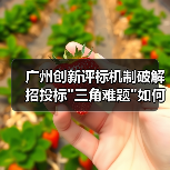 广州创新评标机制破解招投标 广州创新评标机制破解招投标
