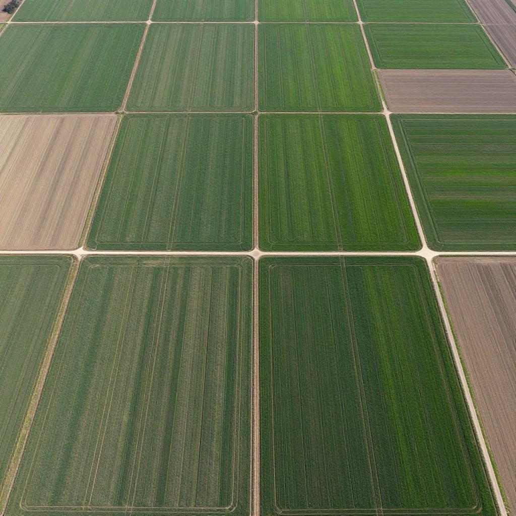 静宁县2025年补充耕地项目